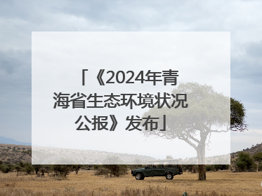 《2024年青海省生态环境状况公报》发布