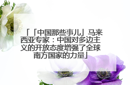 「中国那些事儿」马来西亚专家：中国对多边主义的开放态度增强了全球南方国家的力量