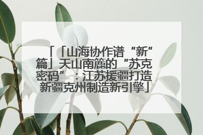 「山海协作谱“新”篇」天山南簏的“苏克密码”：江苏援疆打造新疆克州制造新引擎