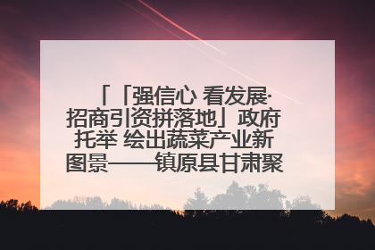 「强信心 看发展·招商引资拼落地」政府托举 绘出蔬菜产业新图景——镇原县甘肃聚广利现代设施蔬菜种植基地见闻