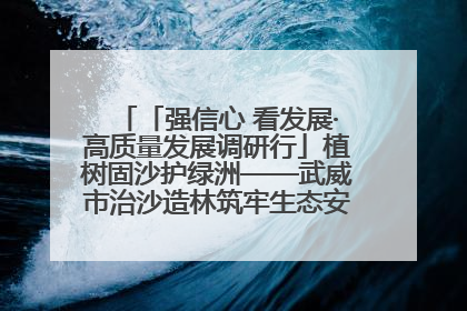 「强信心 看发展·高质量发展调研行」植树固沙护绿洲——武威市治沙造林筑牢生态安全屏障见闻