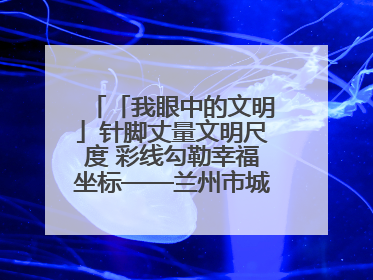 「我眼中的文明」针脚丈量文明尺度 彩线勾勒幸福坐标——兰州市城关区酒泉路街道办事处