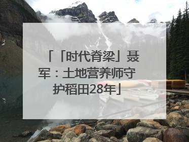 「时代脊梁」聂军：土地营养师守护稻田28年