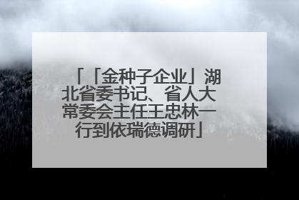 「金种子企业」湖北省委书记、省人大常委会主任王忠林一行到依瑞德调研