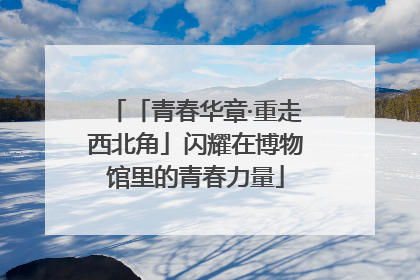 「青春华章·重走西北角」闪耀在博物馆里的青春力量