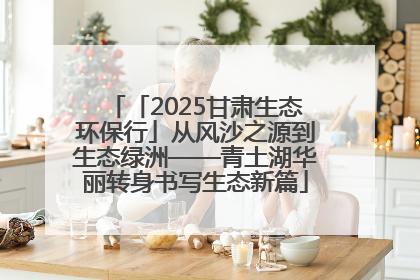 「2025甘肃生态环保行」从风沙之源到生态绿洲——青土湖华丽转身书写生态新篇