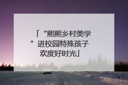 “熙熙乡村美学”进校园特殊孩子欢度好时光