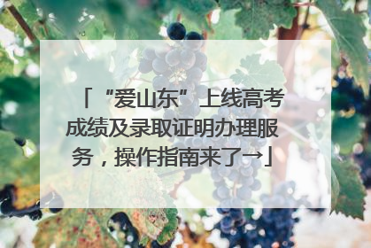 “爱山东”上线高考成绩及录取证明办理服务，操作指南来了→