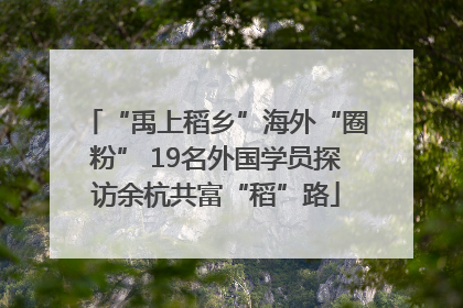 “禹上稻乡”海外“圈粉” 19名外国学员探访余杭共富“稻”路