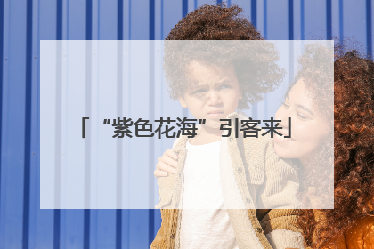 “紫色花海”引客来