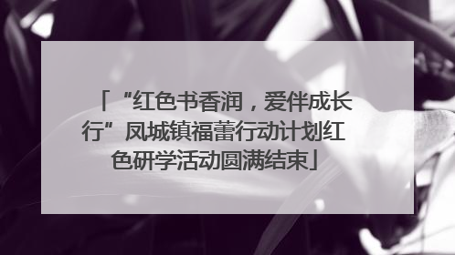 “红色书香润，爱伴成长行”凤城镇福蕾行动计划红色研学活动圆满结束