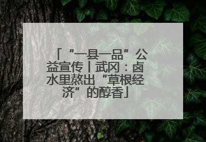 “一县一品”公益宣传丨武冈：卤水里熬出“草根经济”的醇香