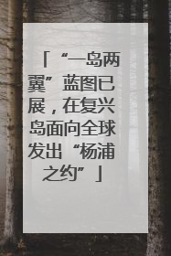 “一岛两翼”蓝图已展，在复兴岛面向全球发出“杨浦之约”