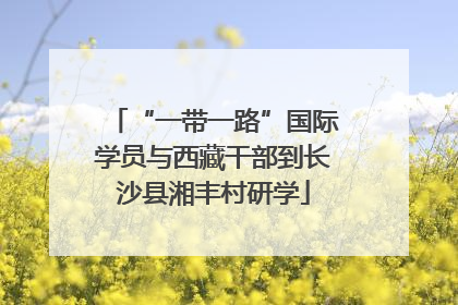 “一带一路”国际学员与西藏干部到长沙县湘丰村研学