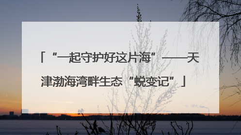 “一起守护好这片海”——天津渤海湾畔生态“蜕变记”
