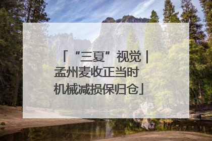 “三夏”视觉｜孟州麦收正当时 机械减损保归仓