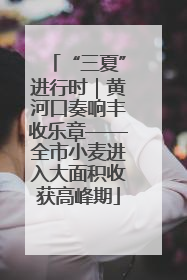 “三夏”进行时｜黄河口奏响丰收乐章——全市小麦进入大面积收获高峰期
