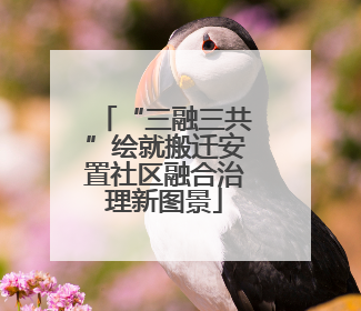 “三融三共”绘就搬迁安置社区融合治理新图景