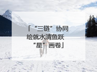 “三链”协同 绘就水清鱼跃“星”画卷