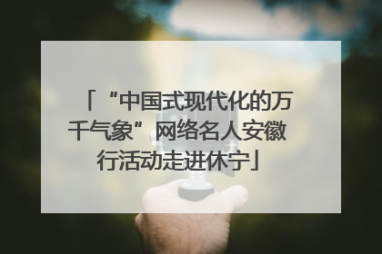 “中国式现代化的万千气象”网络名人安徽行活动走进休宁