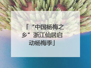 “中国杨梅之乡”浙江仙居启动杨梅季
