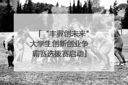 “丰翼创未来”大学生创新创业争霸赛选拔赛启动