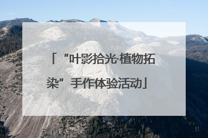 “叶影拾光·植物拓染”手作体验活动