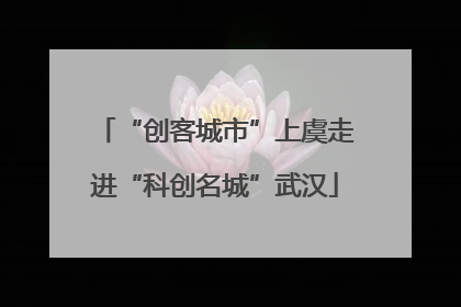 “创客城市”上虞走进“科创名城”武汉
