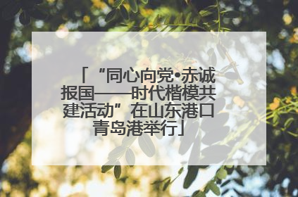 “同心向党•赤诚报国——时代楷模共建活动”在山东港口青岛港举行