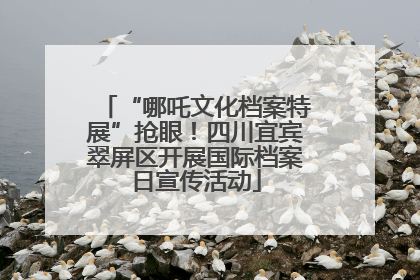 “哪吒文化档案特展”抢眼！四川宜宾翠屏区开展国际档案日宣传活动