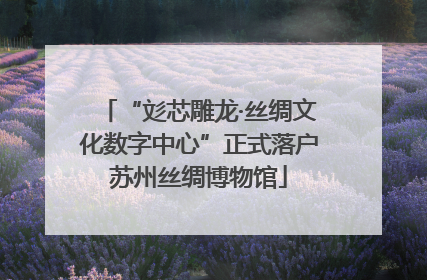 “彣芯雕龙·丝绸文化数字中心”正式落户苏州丝绸博物馆