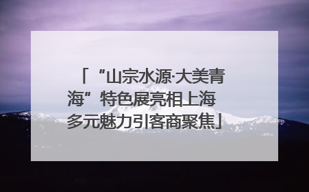 “山宗水源·大美青海”特色展亮相上海 多元魅力引客商聚焦