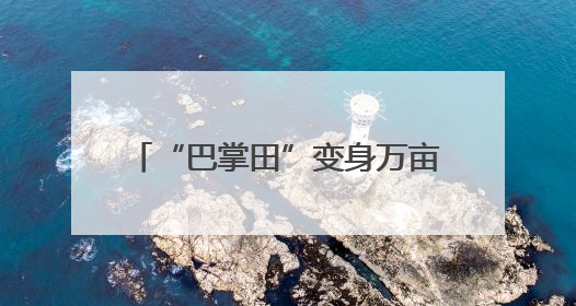 “巴掌田”变身万亩良田 四川合江耕地面积连续三年净增长