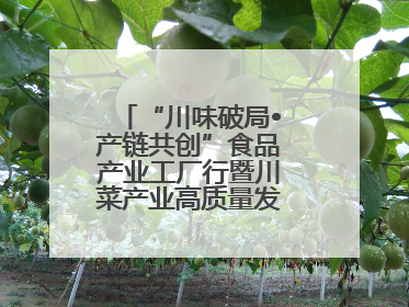 “川味破局•产链共创”食品产业工厂行暨川菜产业高质量发展座谈会举办