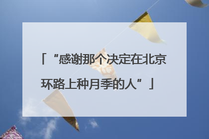 “感谢那个决定在北京环路上种月季的人”