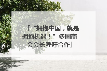 “拥抱中国，就是拥抱机遇！”多国商会会长呼吁合作