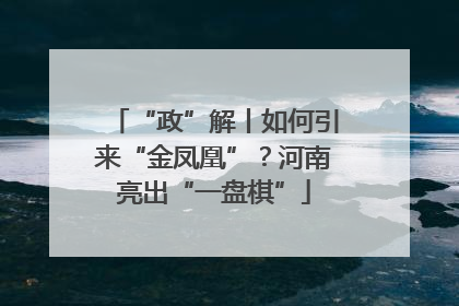 “政”解丨如何引来“金凤凰”？河南亮出“一盘棋”