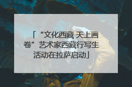 “文化西藏 天上画卷”艺术家西藏行写生活动在拉萨启动