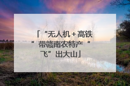 “无人机＋高铁”带赣南农特产“飞”出大山