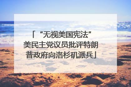 “无视美国宪法” 美民主党议员批评特朗普政府向洛杉矶派兵