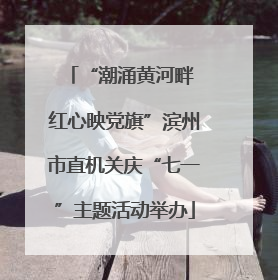 “潮涌黄河畔 红心映党旗”滨州市直机关庆“七一”主题活动举办