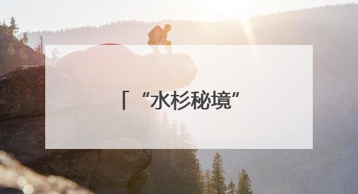 “水杉秘境”成鹭鸟家园