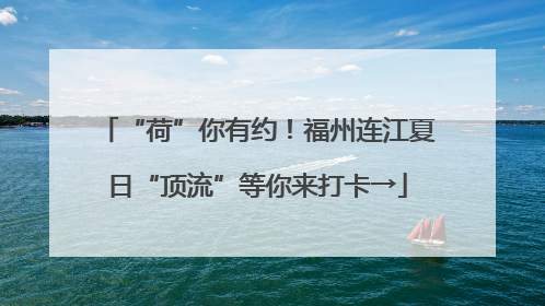 “荷”你有约！福州连江夏日“顶流”等你来打卡→