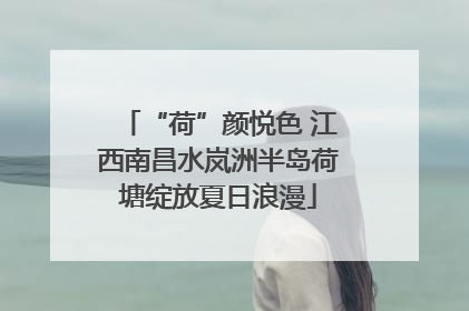“荷”颜悦色 江西南昌水岚洲半岛荷塘绽放夏日浪漫