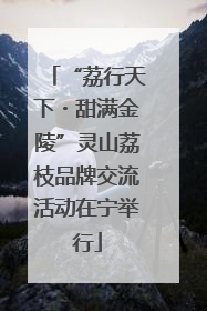 “荔行天下・甜满金陵”灵山荔枝品牌交流活动在宁举行