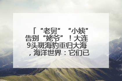 “老舅”“小姨”告别“姥爷”！大连9头斑海豹重归大海，海洋世界：它们已具备野外生存能力