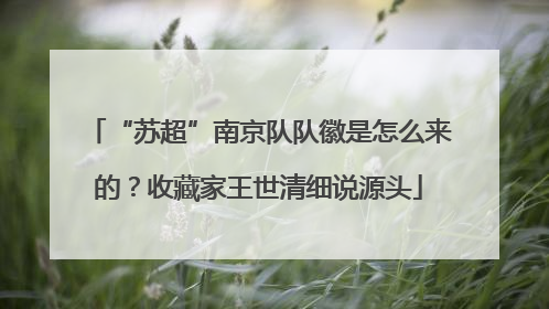 “苏超”南京队队徽是怎么来的？收藏家王世清细说源头