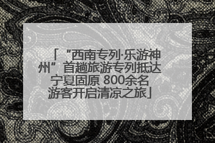 “西南专列·乐游神州”首趟旅游专列抵达宁夏固原 800余名游客开启清凉之旅