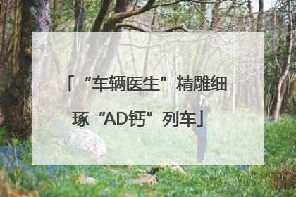 “车辆医生”精雕细琢“AD钙”列车