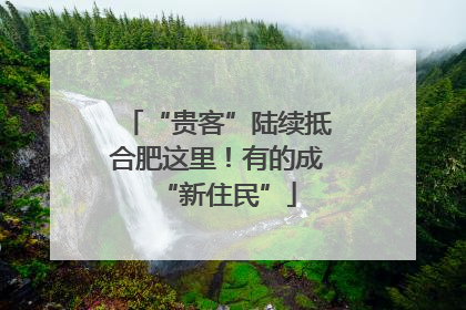 “贵客”陆续抵合肥这里！有的成“新住民”